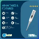 Artboard 2 copy.webp