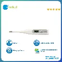 Artboard 2 copy.webp