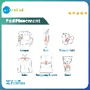 Artboard 2 copy.webp