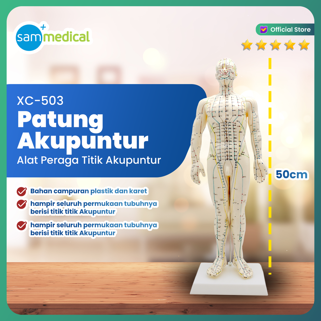 Patung Akupunktur Model Laki-Laki 50cm XC-503
