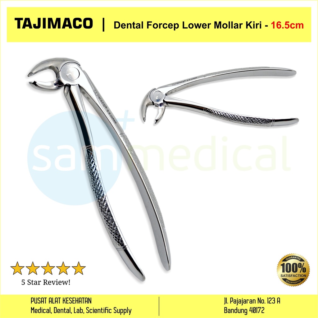 [00720152532] Tajimaco Dental Forcep Lower Mollar Kiri 16.5cm (500/22A)