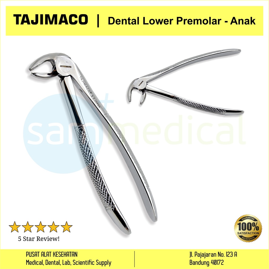[00720152545] Tajimaco Dental Lower Premolar - Anak