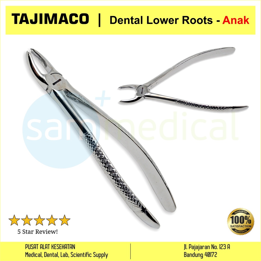 [00720152546] Tajimaco Dental Lower Roots - Anak