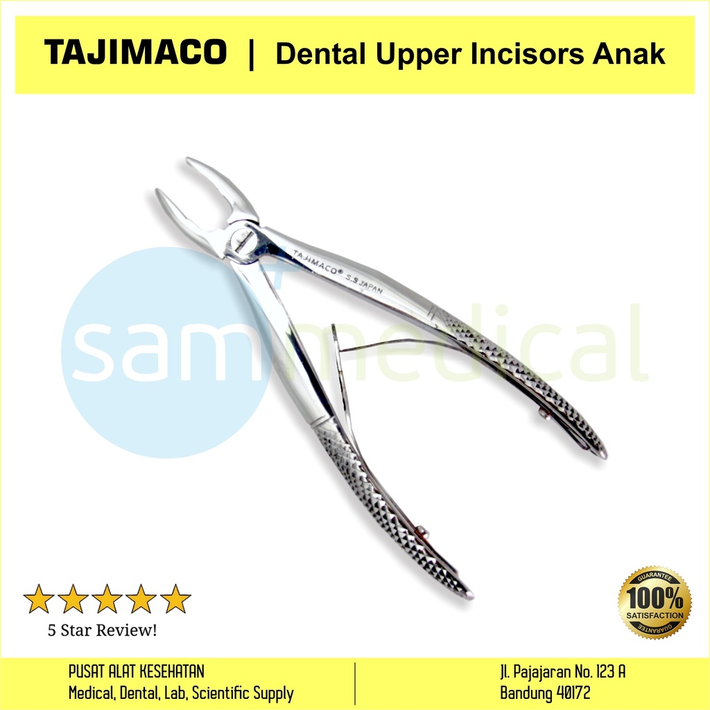 Tajimaco Dental Upper Incisors Anak