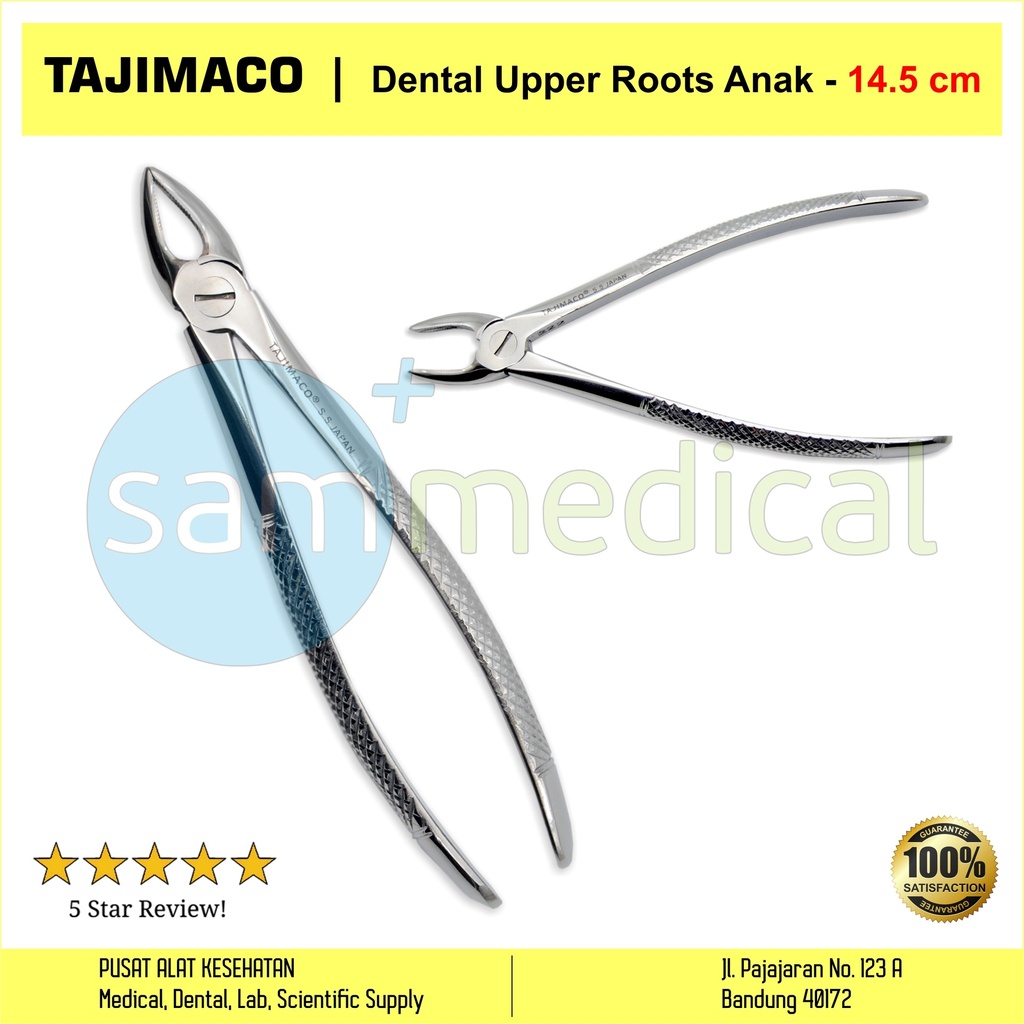 [00720152556] Tajimaco Dental Upper Roots Anak - 14.5cm Bengkok