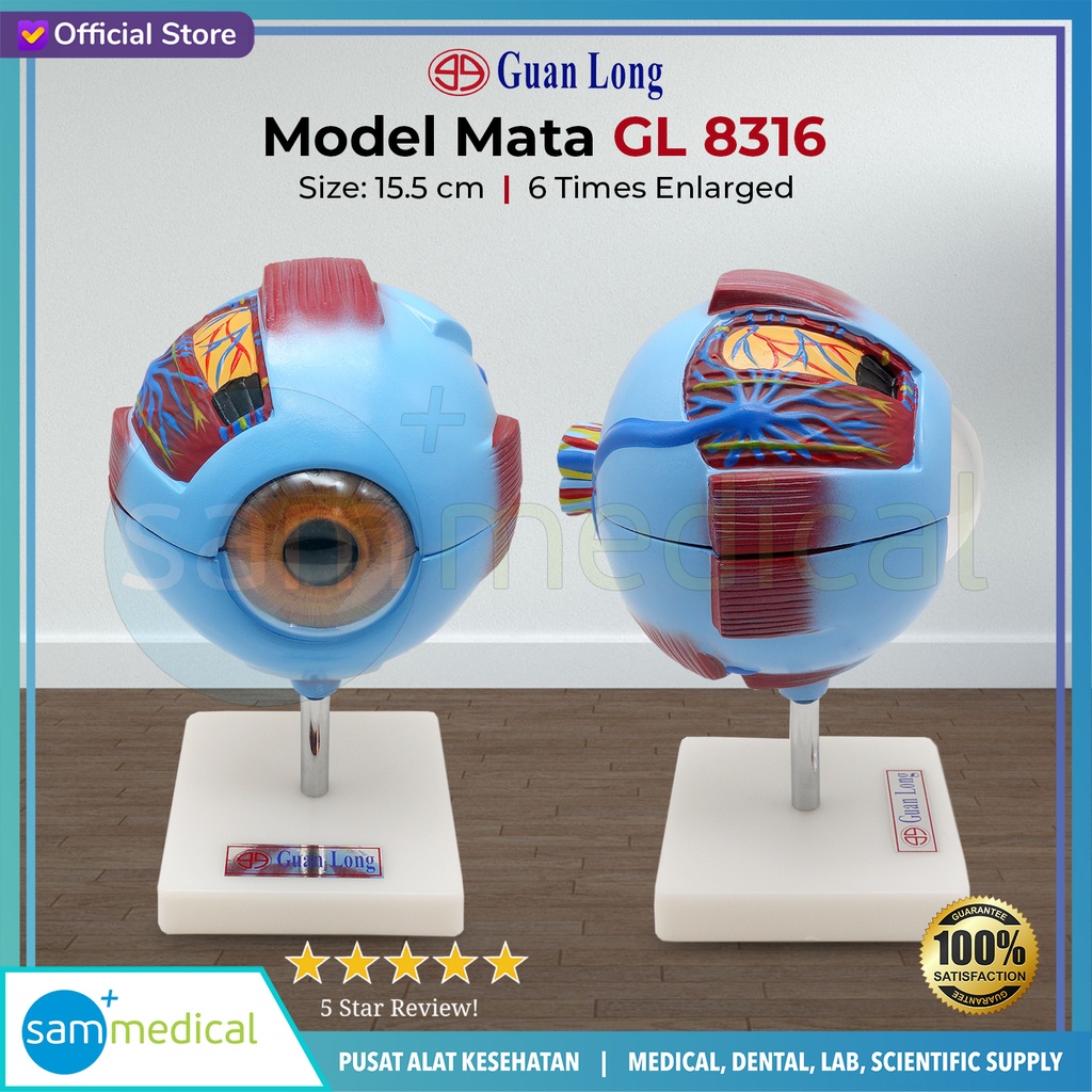 [00120153151] Guan Long Model Mata GL 8316