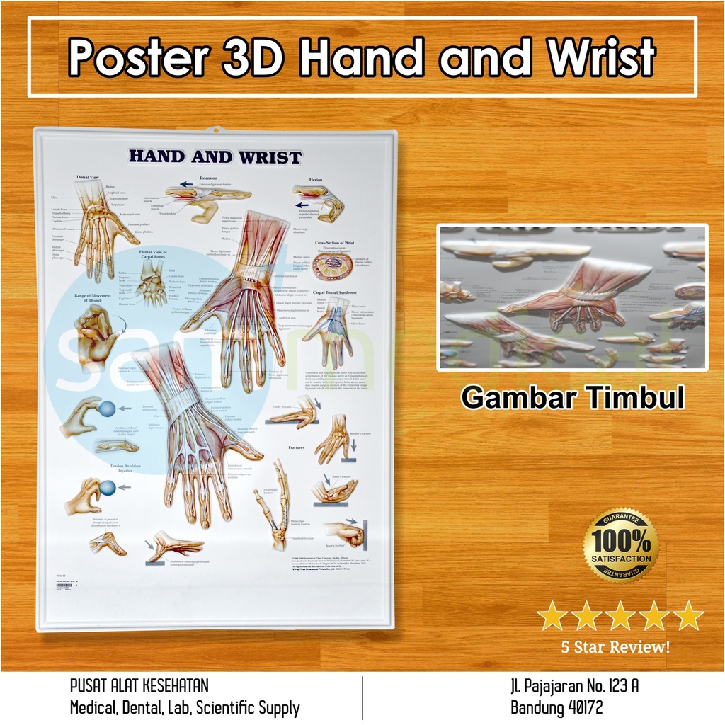 [00120153589] Poster 3D Hand and Wrist 