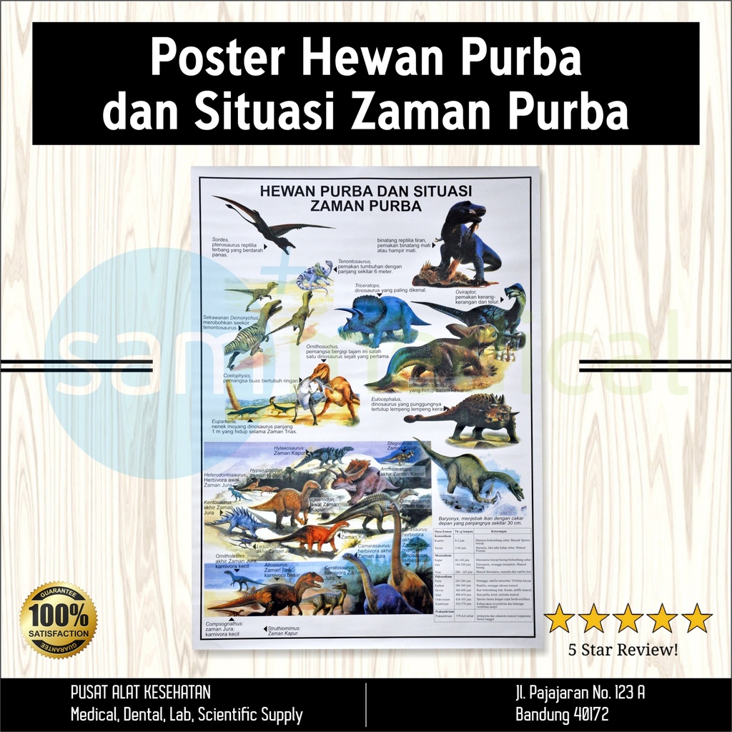 [00120154333] Gambar Hewan Purba