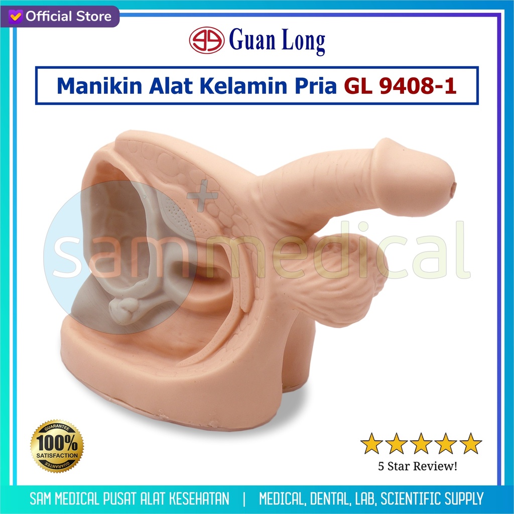 [00120180070] Guan Long Manikin Alat Kelamin Pria - GL 9408-1 