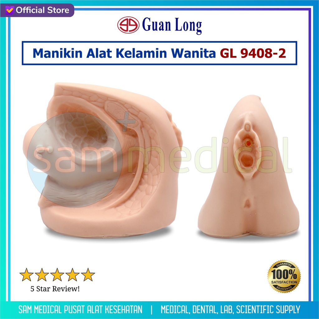 [00120180071] Guan Long Manikin Alat Kelamin Wanita - GL 9408-2	