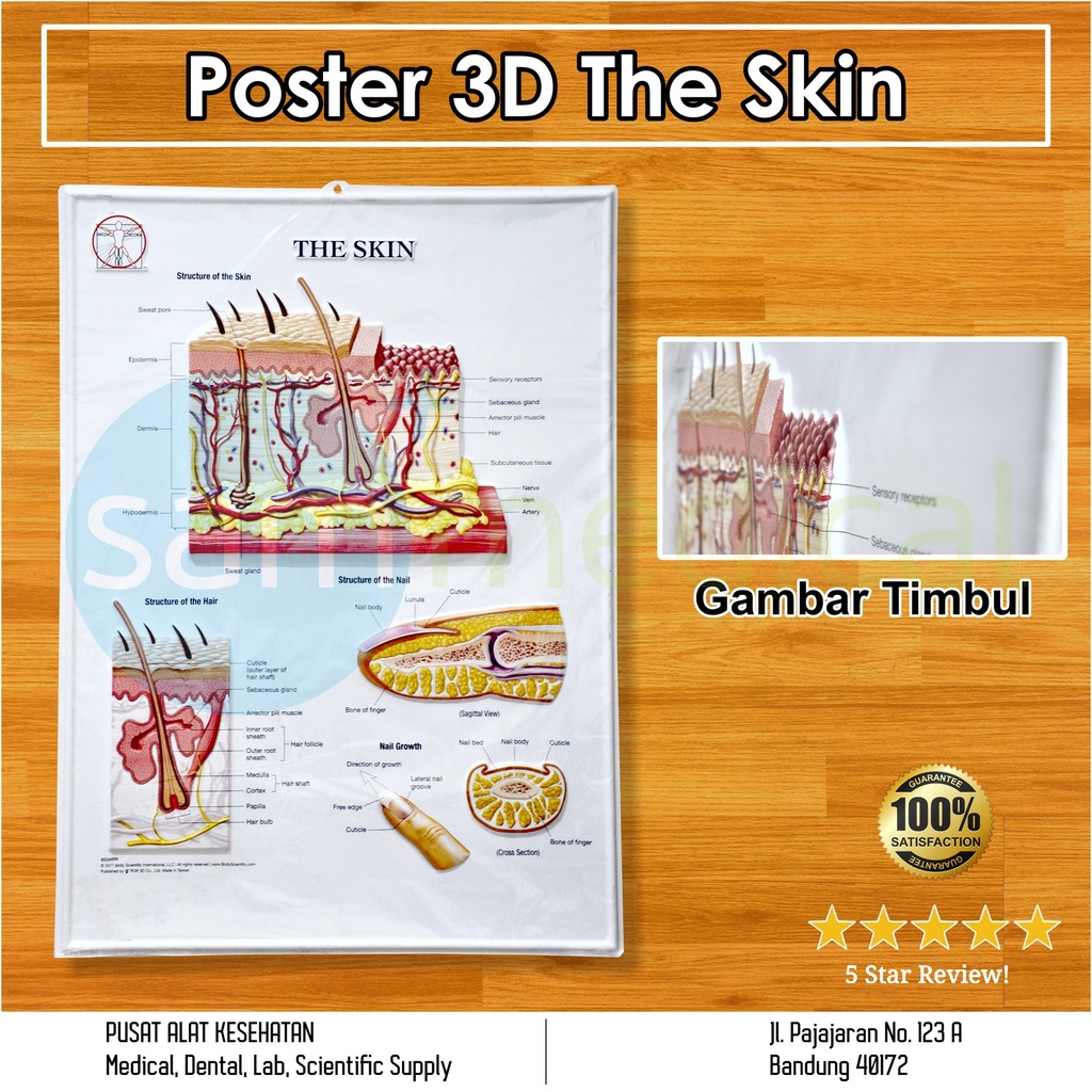 [00120180449] Poster 3D The Skin BS 346RR