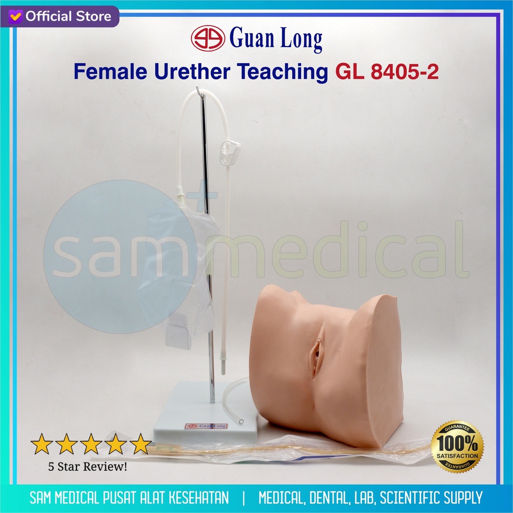 [00120210188] Guan Long Female Urether Teaching GL 8405-2