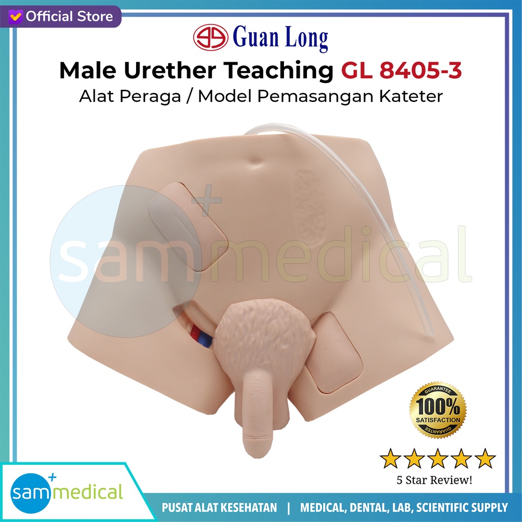 [00120210189] Guan Long Male Urether Teaching GL 8405-3