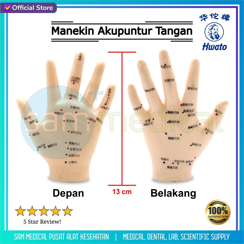 [00120220581] Hwato Manekin Tangan Akupunktur