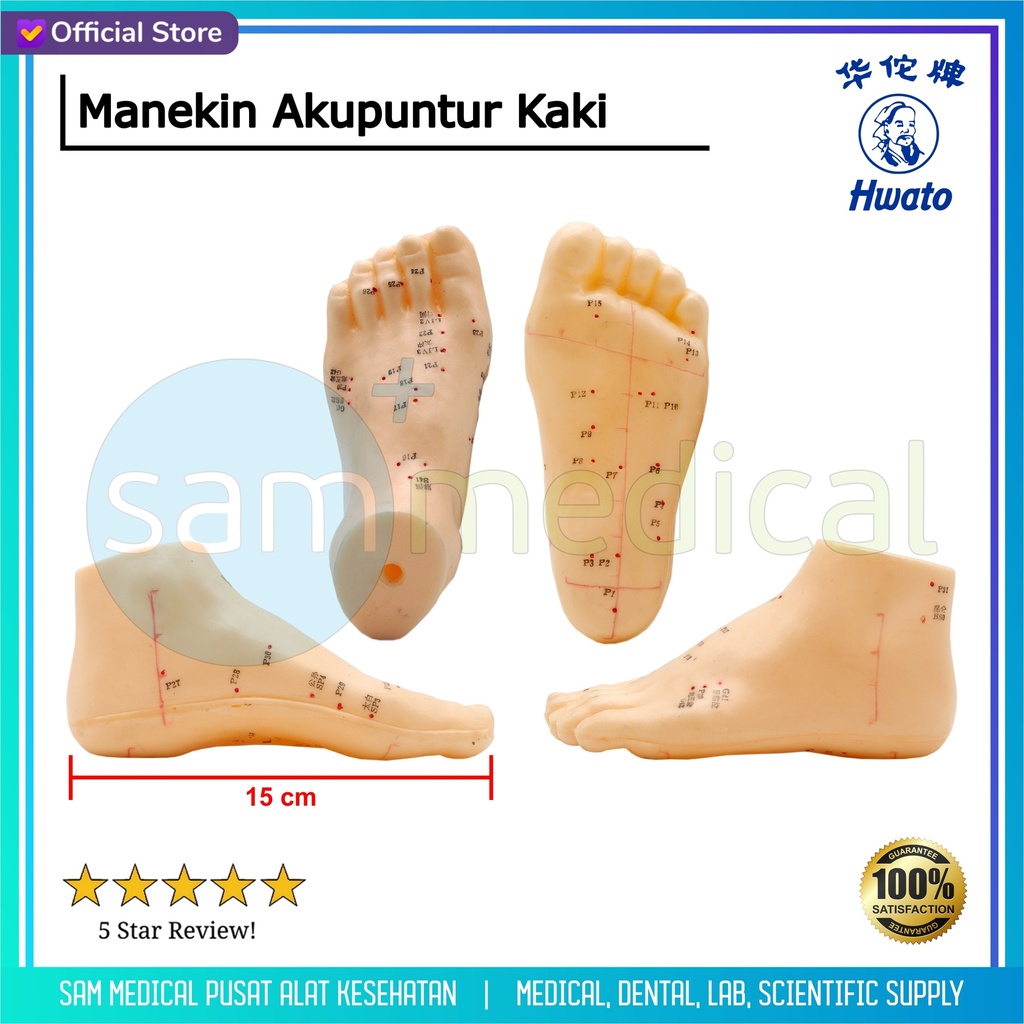 [00120220584] Hwato Manekin Kaki Akupunktur
