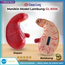 Guan Long Manikin Lambung GL 8306