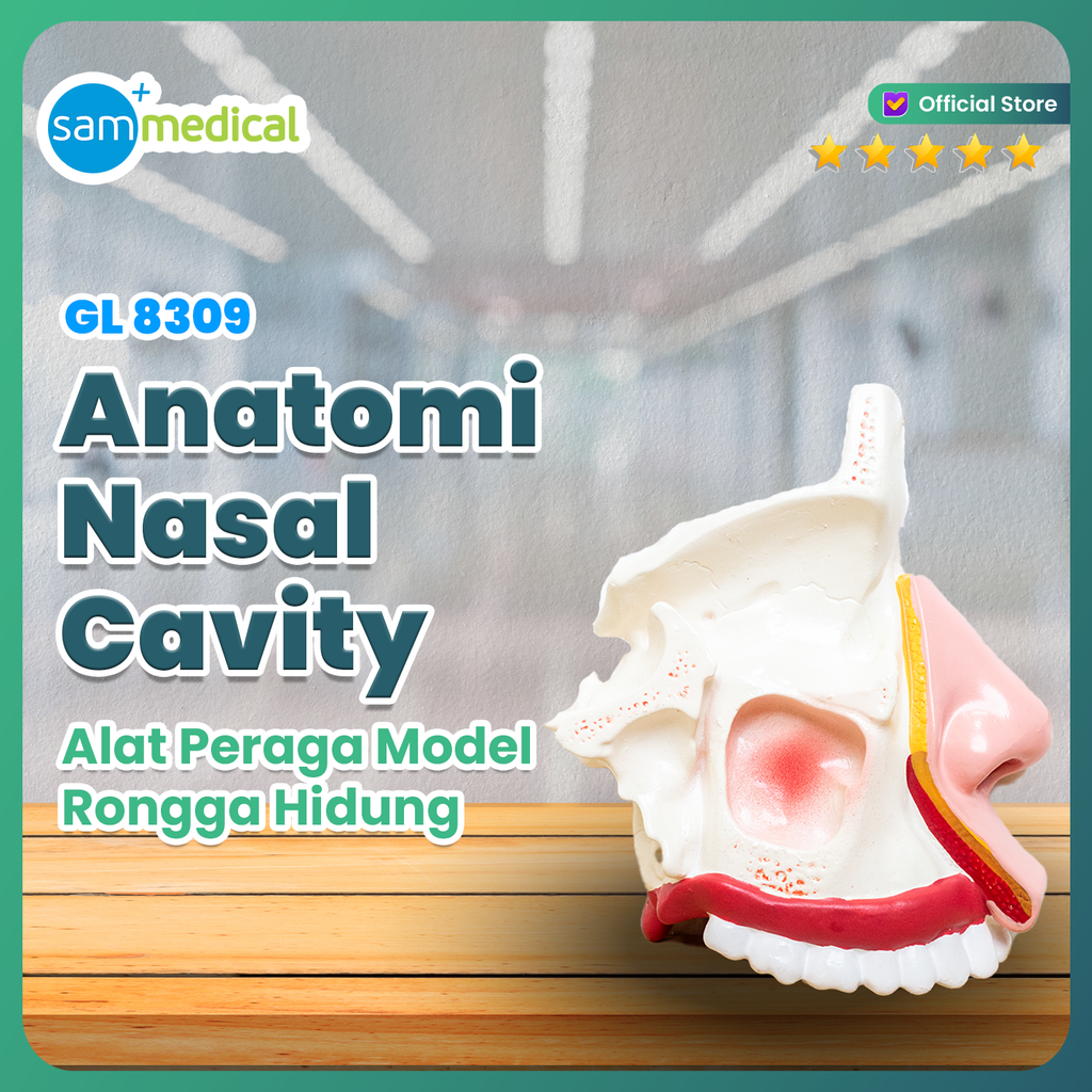 [120231311] Guan Long Model Hidung GL 8309