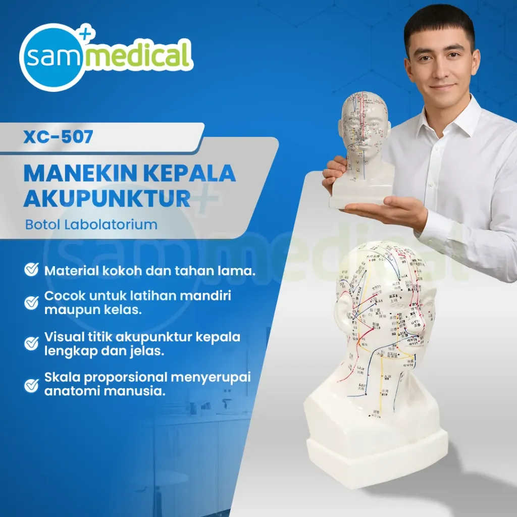 Manekin Kepala Akupunktur XC-507
