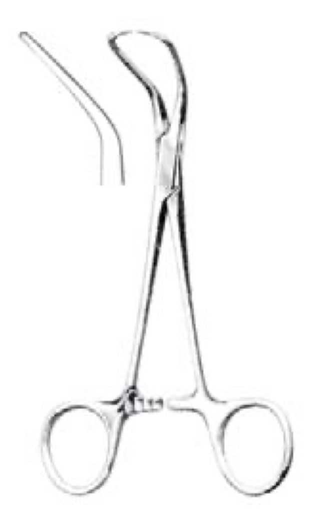 Avellanus Klem Backhaus Towel Clamp 13 cm